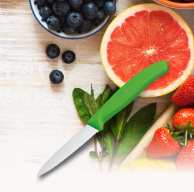 Paring Knife Victorinox for Daily Use